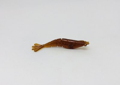 1. Micro shrimp