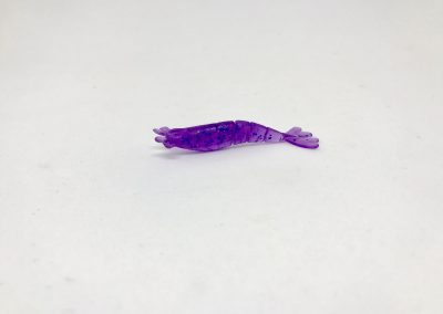 16. Micro shrimp